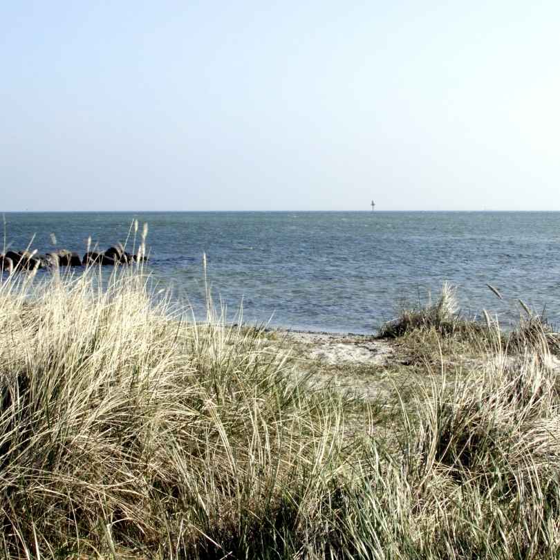 en strand på sejerø